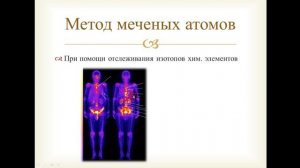 Урок 2 тема 1.1 Методы познания в биологии. ЕГЭ биология