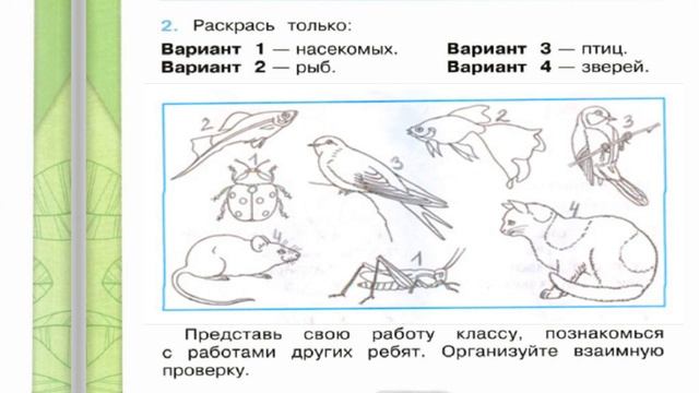 Окружающий мир. Рабочая тетрадь 2 класс 1 часть. ГДЗ стр. 42 №2 смотреть онлайн