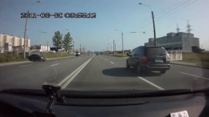 Голубь врезался в стекло