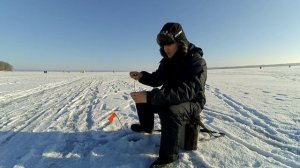 Как ловить плотву на безмотылку? Место, прикормка и гвоздешарик.