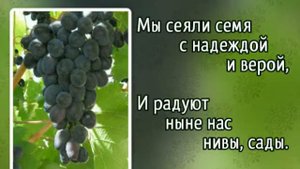 Гимны надежды 98 Тебе, наш Господь, мы хваленье приносим (-)