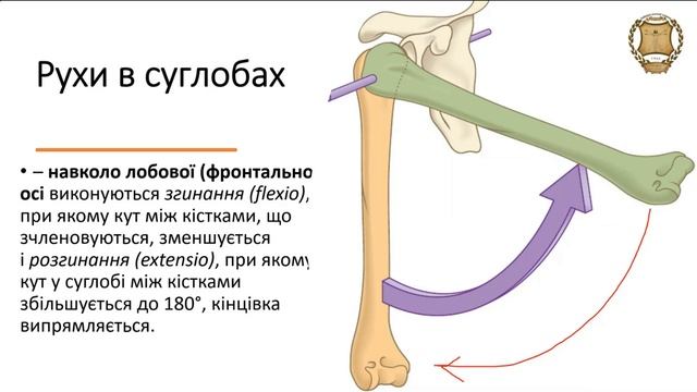 ЗАГАЛЬНА АРТРОЛОГІЯ смотреть онлайн