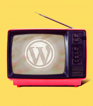 Настройка сайта WordPress с плагинами.