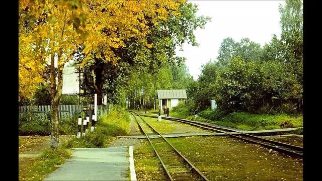 #виртуальный тур "Вокруг Удельной | 2 часть - Коломяги смотреть онлайн