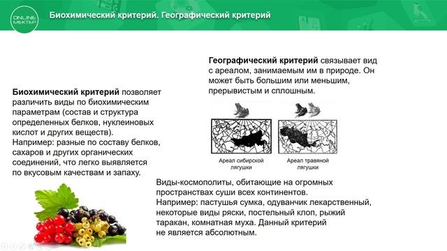 9 класс. Биология. Определение понятия «вид». Структура вида. Критерии вида. 12.05.2020.