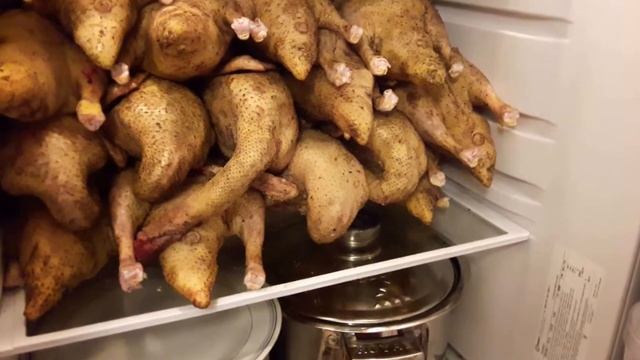 Первая партия Уток для морозилки!!! В морозилке не видно уток #20))) смотреть онлайн