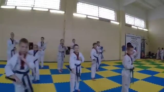 Выступление тхэквондо смотреть онлайн