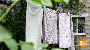 Сушим белье - по науке! Доброе утро. Фрагмент выпуска от 09.08.2019