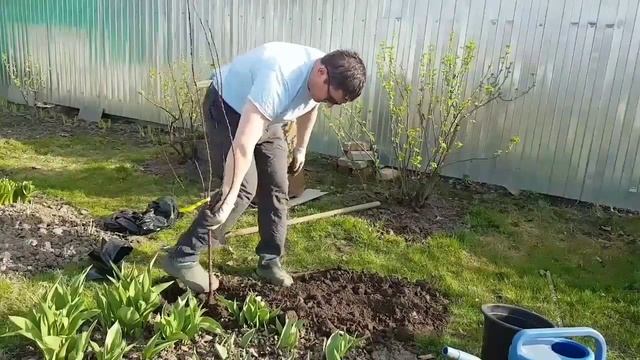 Весенняя посадка плодовых деревьев и кустарников. смотреть онлайн