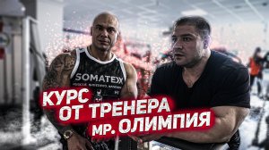 Протоколы тренера Кая Грина | Марк Аврелий | Тренировка Фатеева | Руслан Халецкий