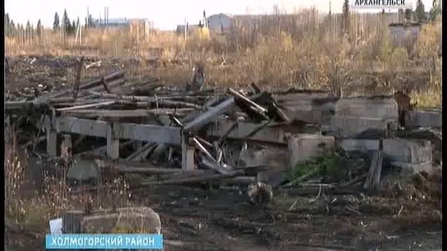 В посёлке Светлый Холмогорского района появится новое лесозаготовительное предприятие