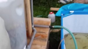 Разведение осетра в домашних условиях