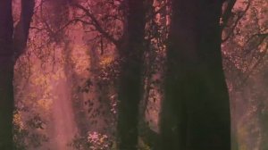 Dido - Take You Home