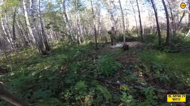 Болотоход переломка Тундра 4/4 (часть 2)   и  кабаны!