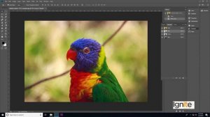 122 Software Adobe Photoshop Color Channel Difference between RGB and CMYK