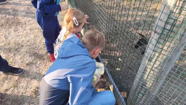 Кемпинг в парке "Кудыкина гора" - полный обзор. Есть чем заняться детям и что посмотреть взрослым смотреть онлайн