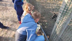 Кемпинг в парке "Кудыкина гора" - полный обзор. Есть чем заняться детям и что посмотреть взрослым