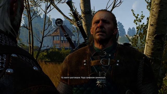 The Witcher 3 - охота на грифона Calcium equum [GTX 750 Ti, Intel Q9550] смотреть онлайн