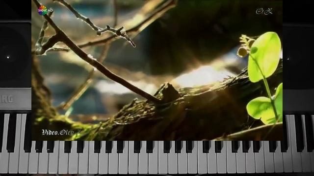 "ТЫ БУДЕШЬ МОИМ СЧАСТЬЕМ" Шувалова Светлана смотреть онлайн