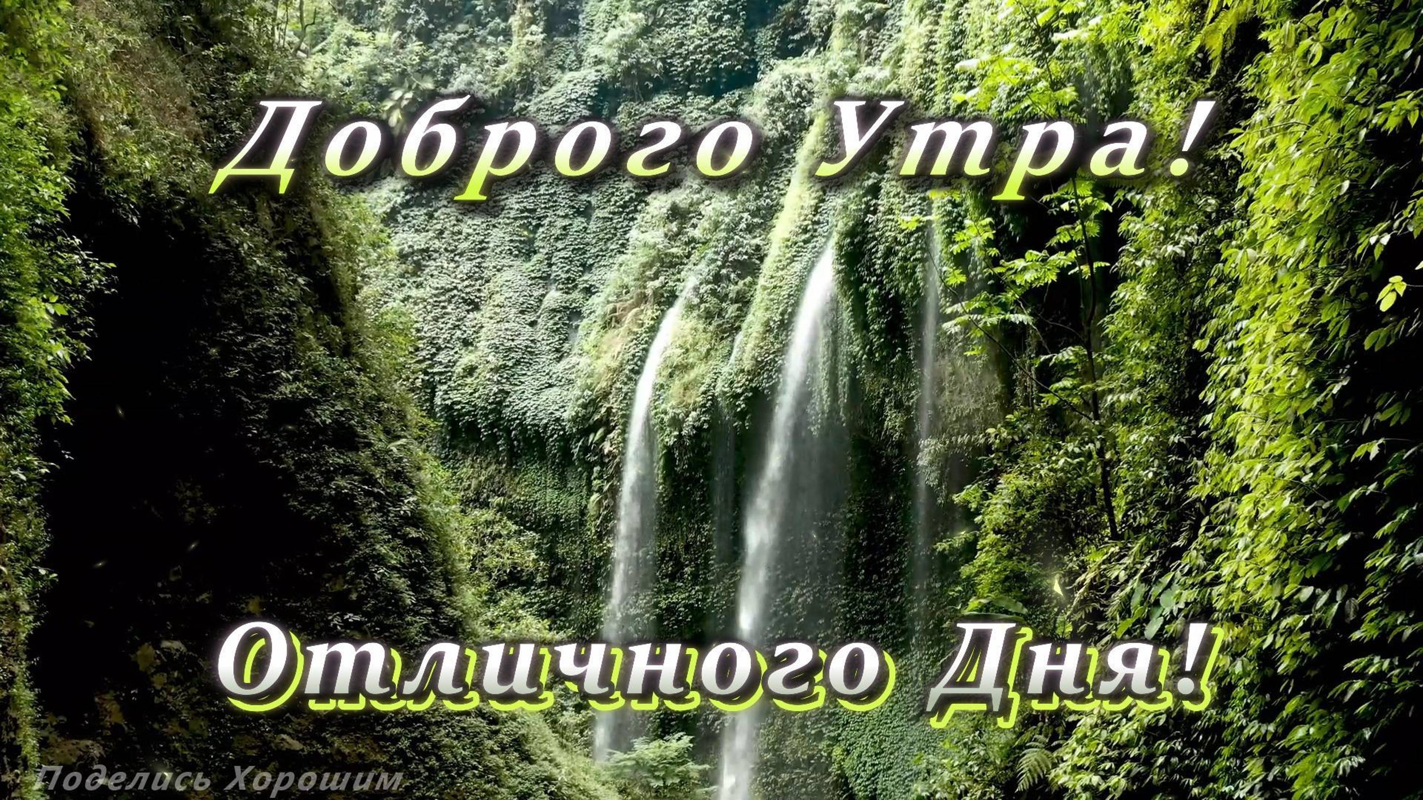 Доброго Утра! Отличного Дня!