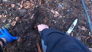 Metal Detecting Below Zero (Celsius) With Old Finds!