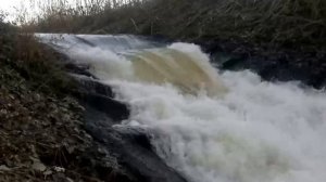 Слияние Урала и Сакмары