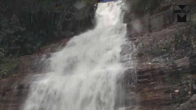 Freshwater Natural Aquarium Documentary HD Mikolji