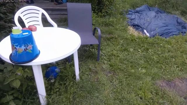 Выращивание арбузов в Сибири. Тюмень смотреть онлайн