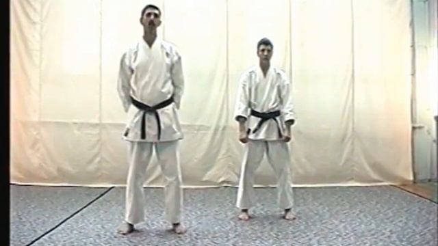 Карате для начинающих: Урок 1