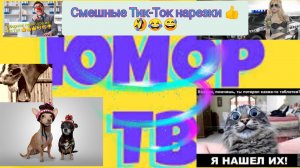 Смешные ? Тик-Ток ? нарезки ????