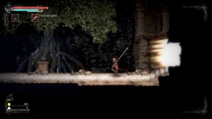 Решение проблемы длинного прыжка (shift+space) в Salt and Sanctuary