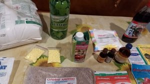 Удобрения для голубики. Подготовка к сезону