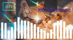 Кот на стиле (песня)