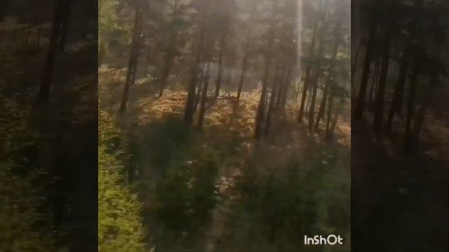 Сибирь. ж/д дорога. весна. смотреть онлайн