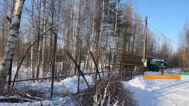 Гордое одиночество!