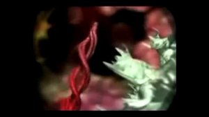 Связь нейронов головного мозга и космоса