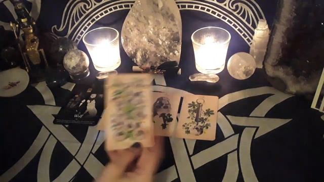?️Leo♌-Follow the calling!!-?Scorpio Season 2022?