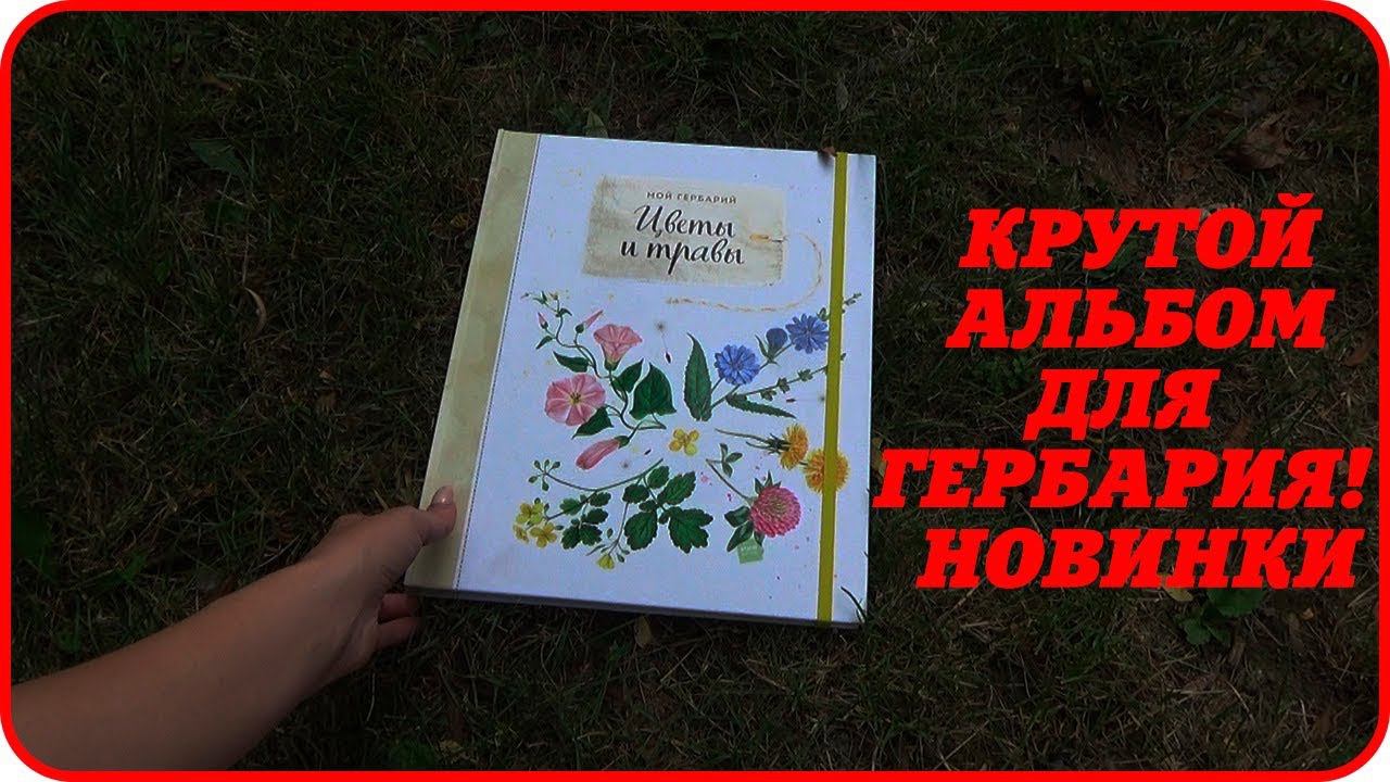 ЗАМЕЧАТЕЛЬНАЯ КНИГА/ГЕРБАРИЙ/ИЗУЧАЕМ
