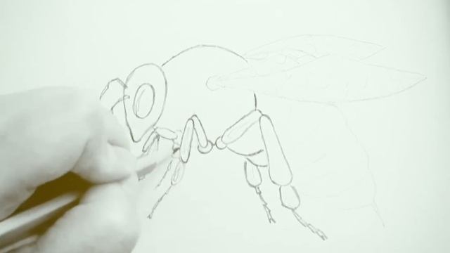 Как нарисовать Пчелу||How to Draw a Bee смотреть онлайн