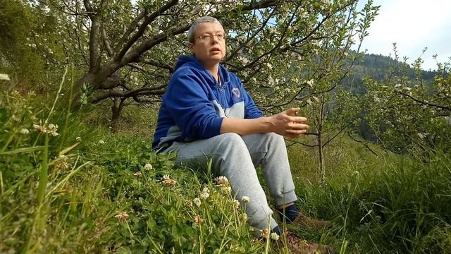 Панчакарма в Индии: Что это? Часть 1: Назначение. смотреть онлайн