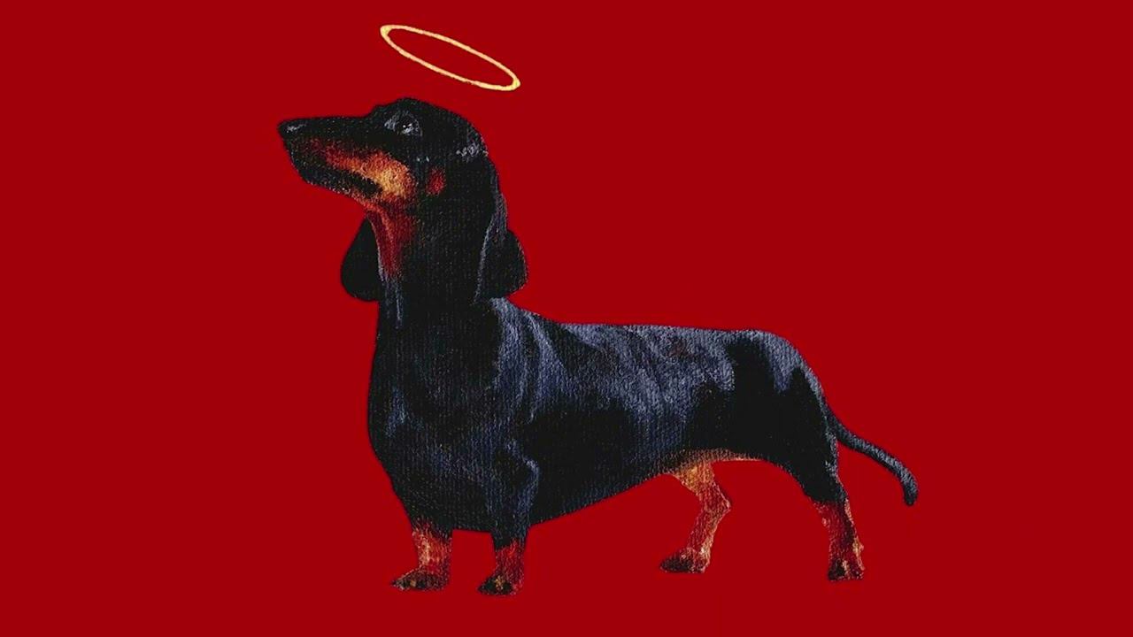 ПОЛМАТЕРИ - Псы попадают в рай (Speed up) @polmateriband