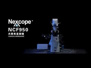 Конфокальный микроскоп NEXCOPE NCF950