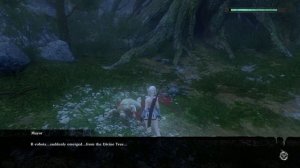 Nier Replicant: Ending E Hidden Interactions