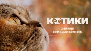 Котики / Cat Daddies (2022)