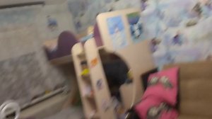 чем заняться вместе с собакой дома? 1 часть??