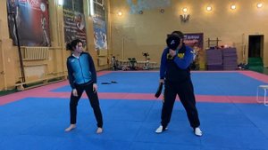 Фиш-кик или Бразилиан-кик, последовательность наработок на лапах #taekwondo #тхеквондо #тхэквондо