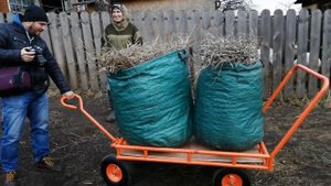 Четырёхколёсная тележка Муравей XL 1200 в деревне Ломки