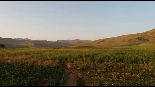 Чунгурак кашкадарё вилояти #узбекистан #uzbekistan #2023