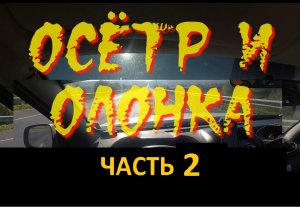 Осетр и Олонка. Часть 2