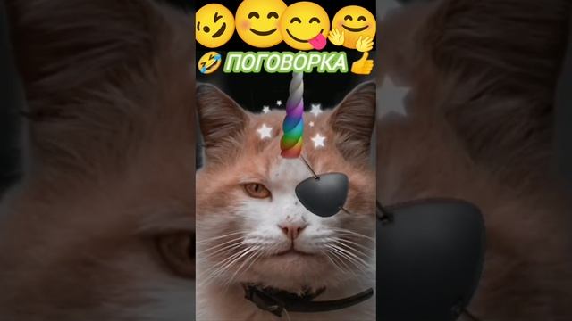 ?? Пословица или поговорка ?